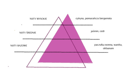 SPRING AIR FEELINGS 250ML odświeżacz powietrza