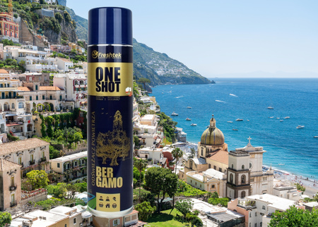 ONE SHOT BERGAMO odświeżacz powietrza