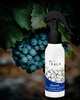 KALA CHANTI BLACK GRAPES WITH KIWI 100ML olejek zapachowy