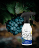 KALA CHANTI BLACK GRAPES WITH KIWI 250ML olejek zapachowy