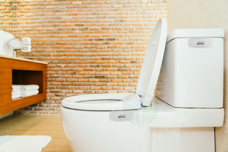 KALA FRESH BLITZ MANGO zawieszka zapachowa do toalet