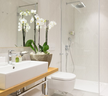 MEGLIO ANTI-LIMESCALE EXTRA SHINE 750ML odkamieniacz