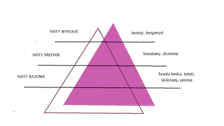 SPRING AIR BILLIONAIRE 250ML odświeżacz powietrza