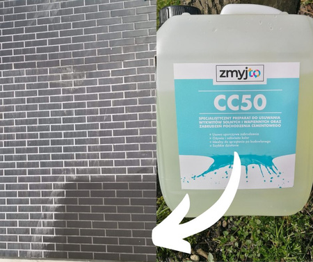 ZMYJTO CC 50 DO USUWANIA WYKWITÓW SOLNYCH, WAPIENNYCH, ZABRUDZEŃ CEMENTOWYCH 5L