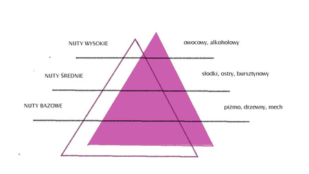 SPRING AIR RED CHAMPAGNE 250ML odświeżacz powietrza