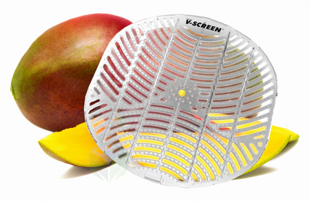 V-SCREEN CITRUS MANGO 12SZT wkładka zapachowa do pisuaru