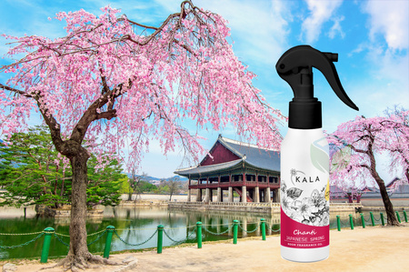 KALA CHANTI JAPANESE DREAM 100ML olejek zapachowy
