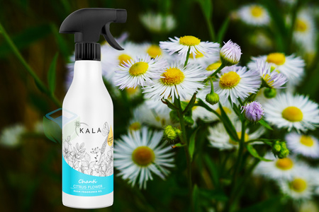 KALA CHANTI CITRUS FLOWER 500ML olejek zapachowy