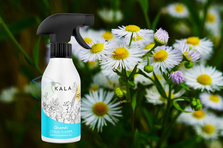 KALA CHANTI CITRUS FLOWER 250ML olejek zapachowy