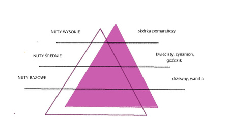 SPRING AIR ORANGE CINNAMON 250ML odświeżacz powietrza