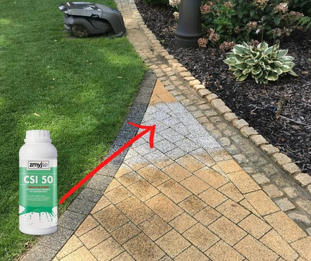 CSI 50 DO USUWANIA RDZY 1L