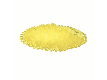 FRE PRO WAVE 2.0 CYTRUSOWY wkładka zapachowa do pisuarów 2szt
