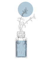 7 SEVEN 100ML esencja zapachu