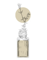 CEDAR WOOD 100ML esencja zapachu